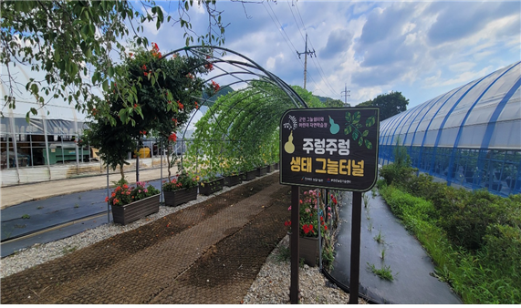 부안군, 생태덩굴식물 그늘터널 시범 조성