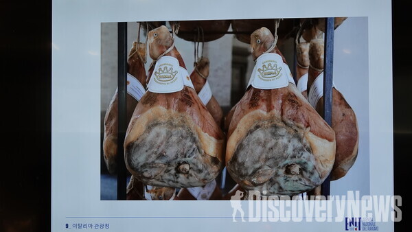 ▲살루미(Salumi)     ⓒ디스커버리뉴스 정기환 기자