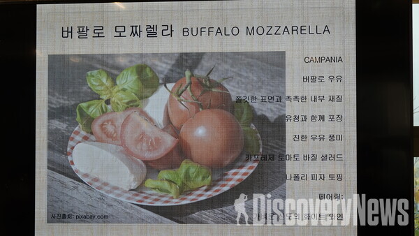 ▲버팔로 모짜렐라(Mozzarella) 치즈    ⓒ디스커버리뉴스 정기환 기자