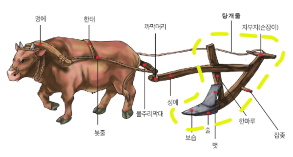 동아시아 최초, 삼국시대 목제쟁기 연속 4회 출토.. '전시 통해 시민 공개 예정'