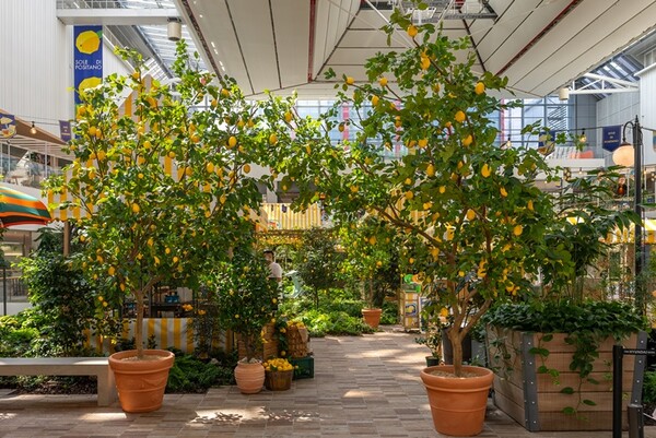 더현대서울 Sole di Positano 마켓   [사진=이탈리아관광청]
