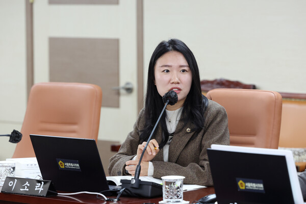 서울시의회 교육위원회 이소라 의원(더불어민주당‧비례대표)   [사진=서울시의회]