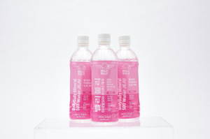 제이크리에이션, ‘벨리불리 미네랄 500水 제주’ 출시 - 뉴스 썸네일 이미지