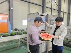 쿠팡, AI 선별 시스템 도입 확대…신선식품 품질 관리 강화