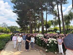 공주 <b>유구</b>색동<b>수국</b>정원 꽃 <b>축제</b> 개막…28일까지 여름 행사 이어져